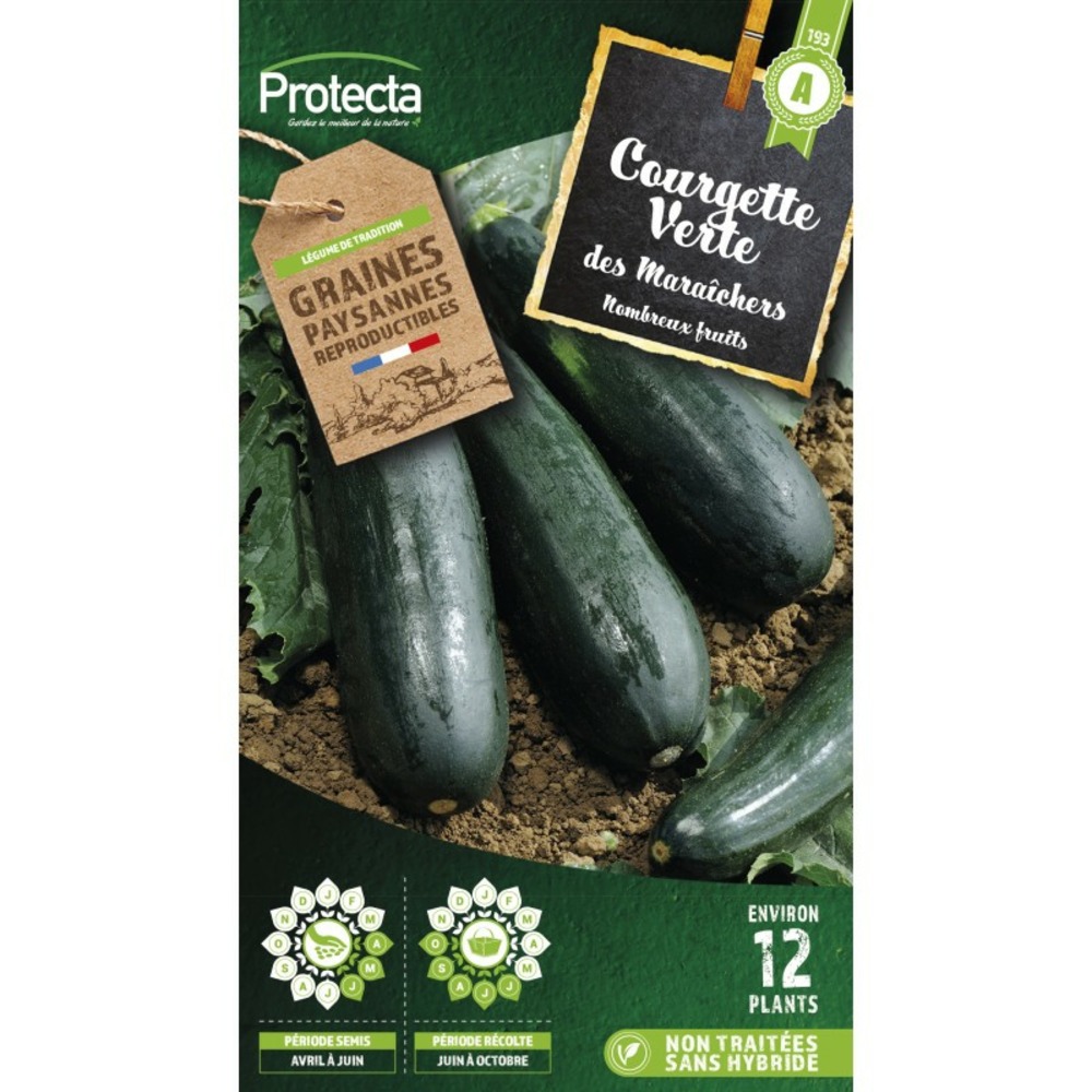 Graines paysannes - courgette verte des maraîchers