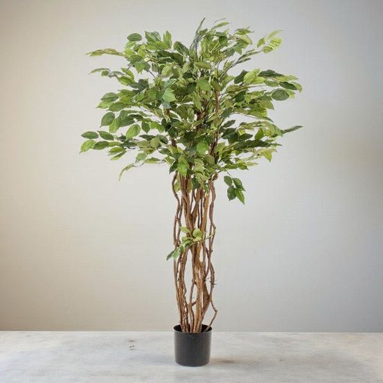Ficus liane artificiel h140cm