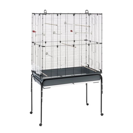 Ferplast cage oiseaux planeta, volière, perruche, canari, petits oiseaux, avec mangeoire et accessoires, support à roulettes