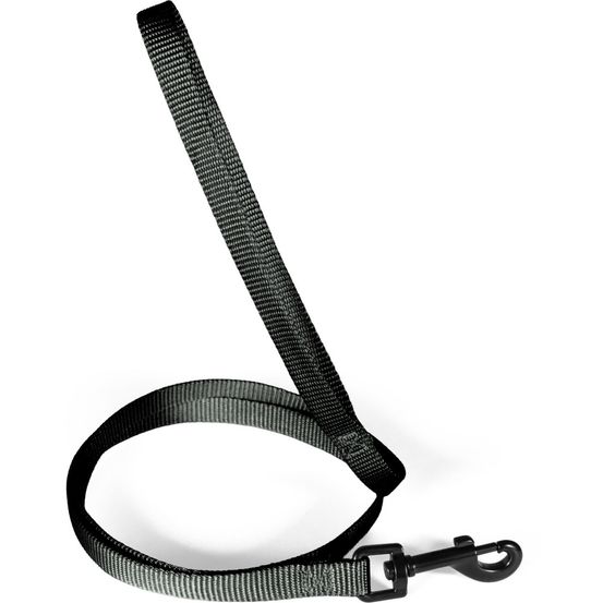 Laisse pour chien en nylon recyclé, sangle 15 mm, longueur 1,20 m - zolux (