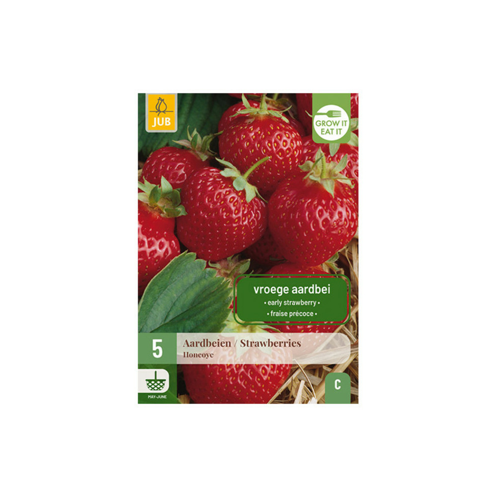 5 racines de fraisiers honeoye rouge