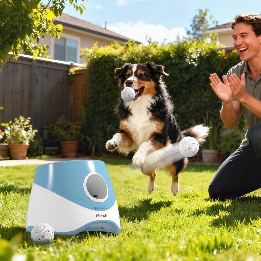 Lanceur de balles automatique pour chien en abs bleu avec 3 distances de tir pour jeux au jardin et à la maison