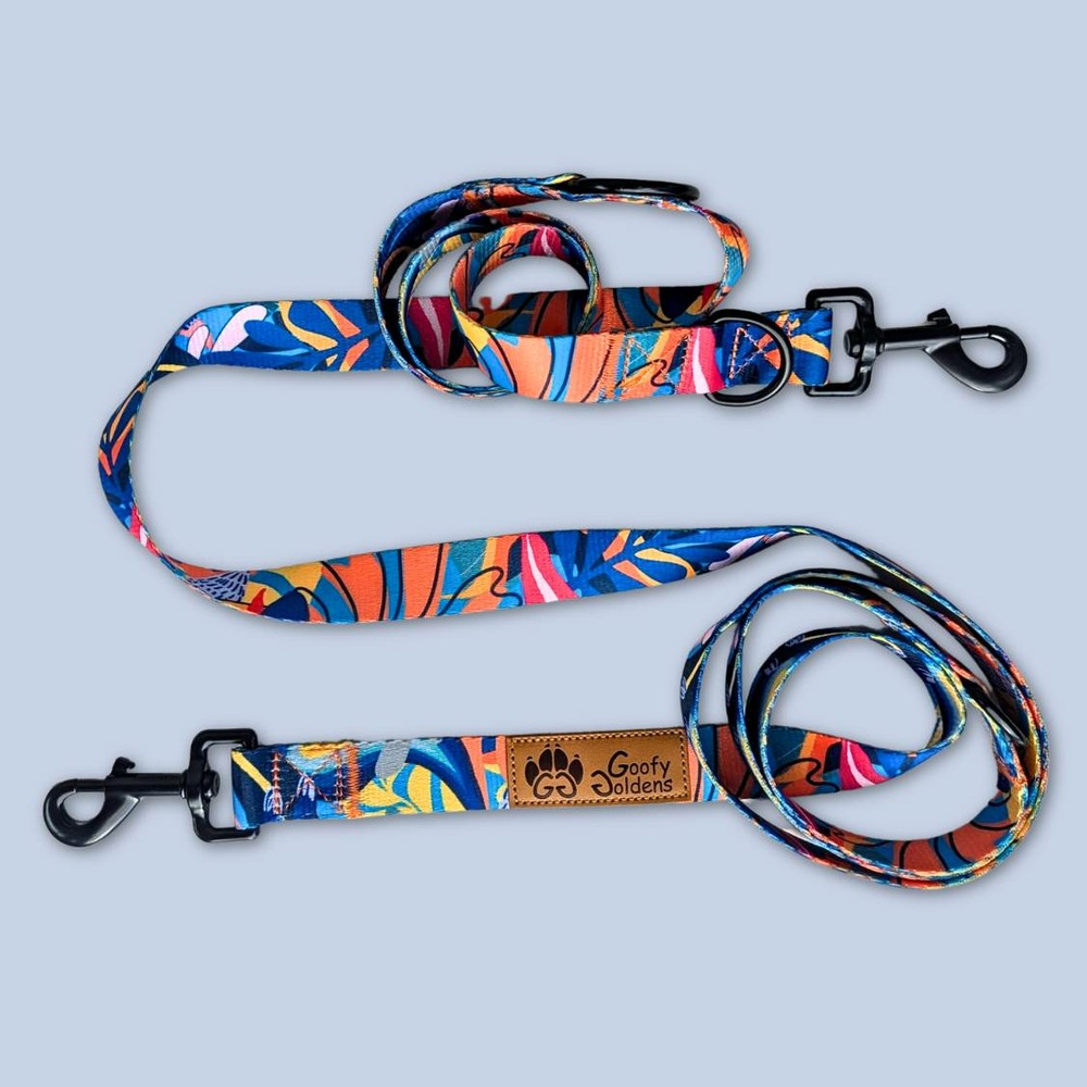 Laisse pour chien lagon multiposition