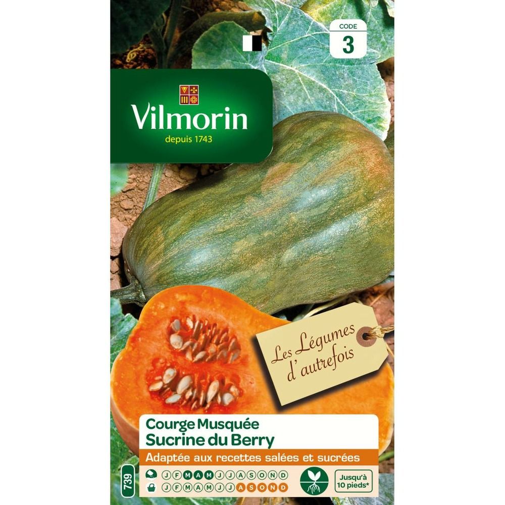 Sachet graines courge sucrine du berry