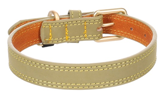 Collier pour chien virginia en cuir