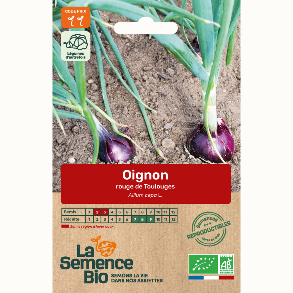 Oignon rouge de toulouges - graines bio