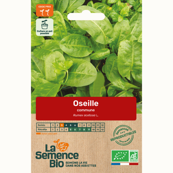 Oseille commune - graines bio