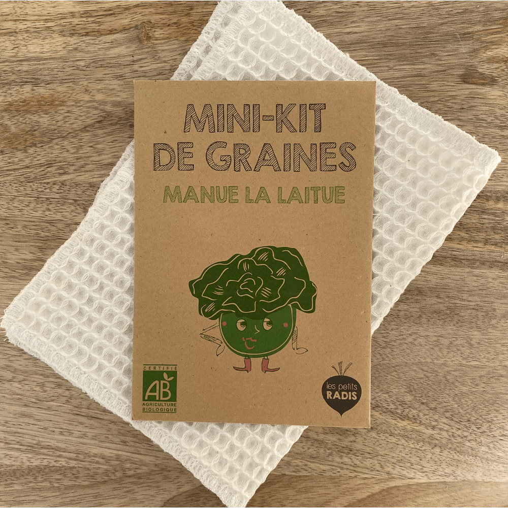 Mini kit de graines - manue la laitue