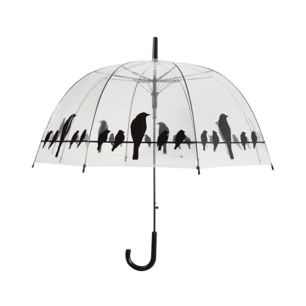 Parapluie transparent noir oiseaux sur un fil