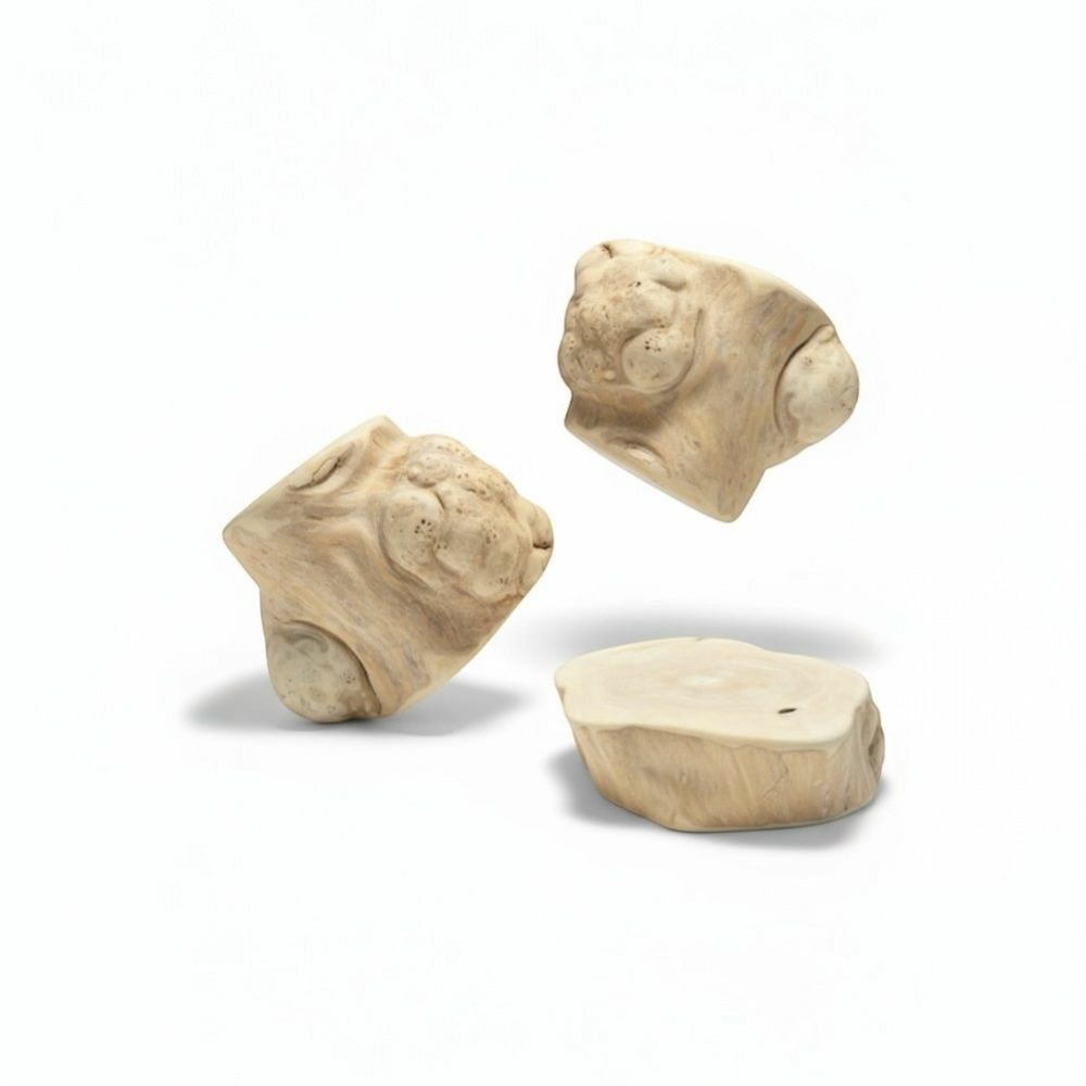 France croquettes - racine de caféier