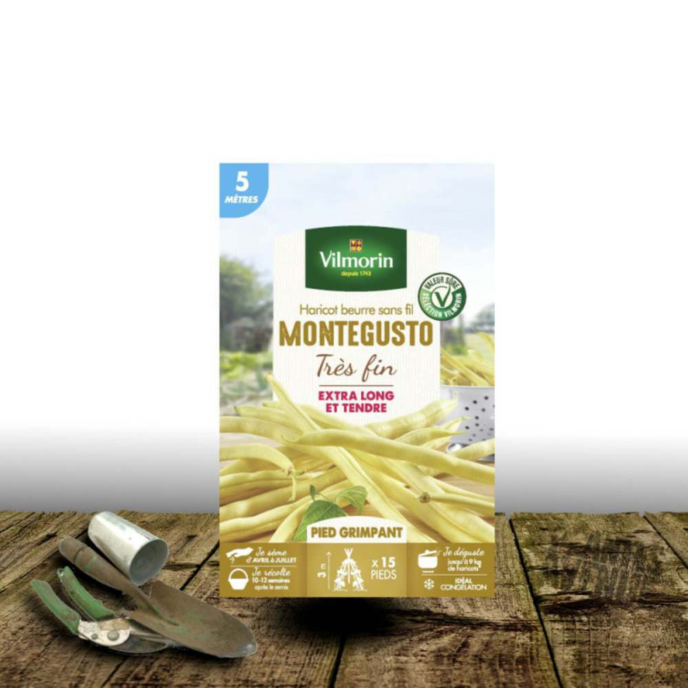 Graines de haricot grimpant beurre monte gusto - vilmorin boite - 10 mètres