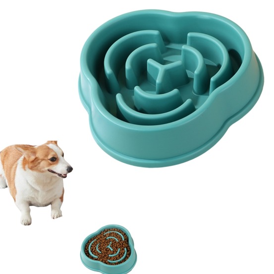 Bol d'alimentation lent pour chien
