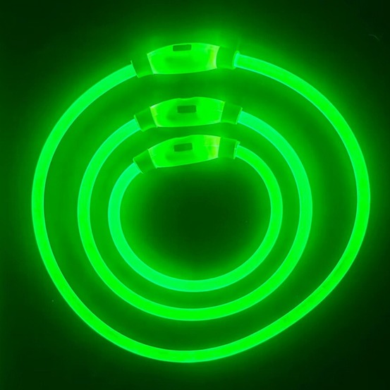 Collier lumineux rechargeable pour chien vert taille s : circonférence 30 cm