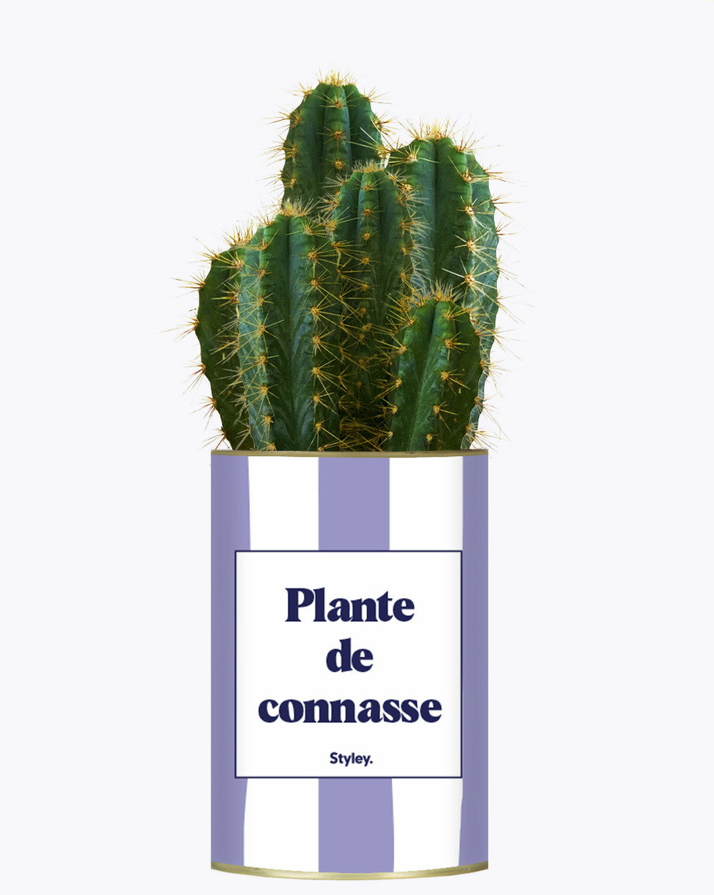 Plante drôle - plante de connasse - plante