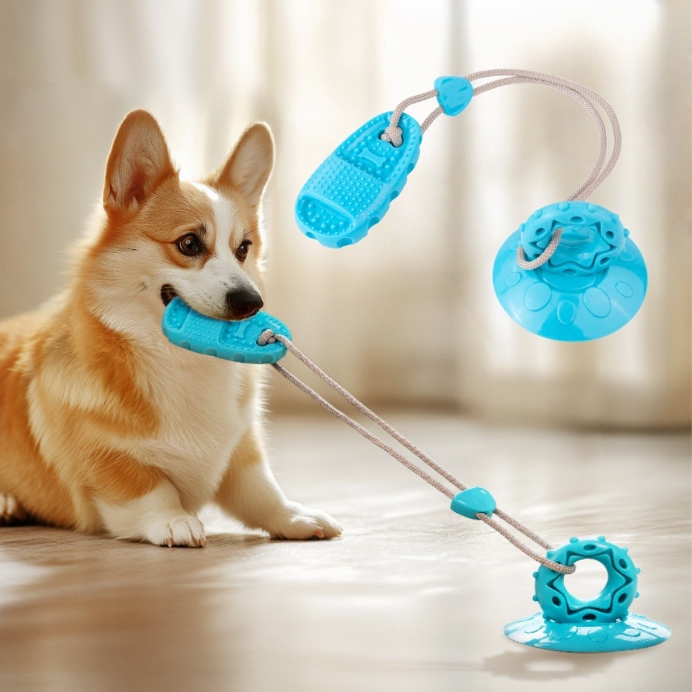 Jouet de chien grincement avec ventouse bleu-chaussons jouets à mâcher