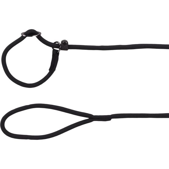 Laisse anti-traction aiden