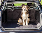 Protège-coffre de voiture • véhicule propre et protégé du chien