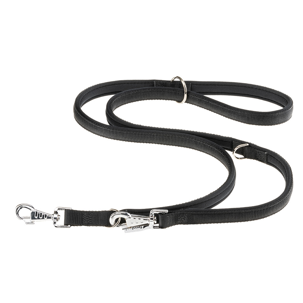 Ferplast laisse pour chien daytona, laisse pour chien taille petite, 200 cm, laisse de dressage avec poignée rembourrée