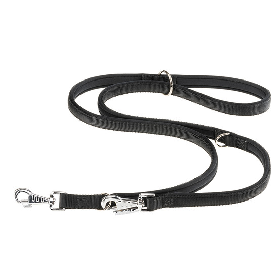 Ferplast laisse pour chien daytona, laisse pour chien taille petite, 200 cm, laisse de dressage avec poignée rembourrée