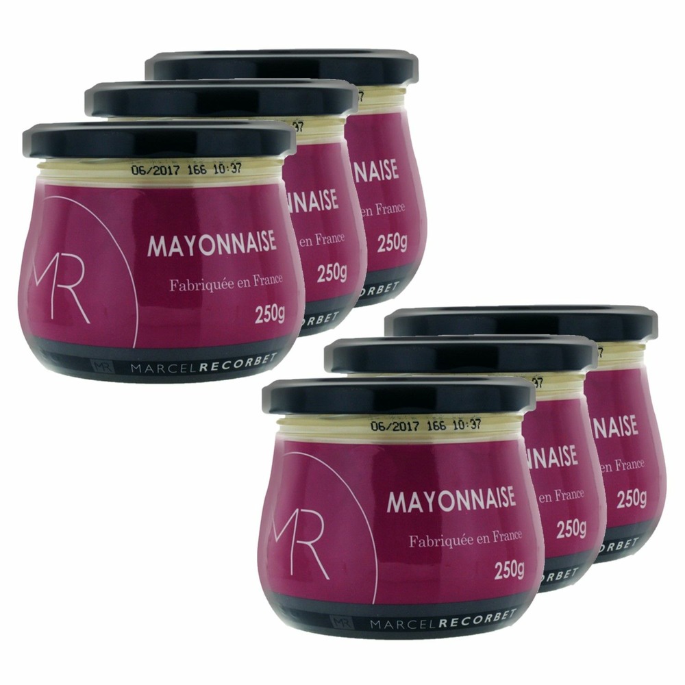 Lot 6x mayonnaise à la moutarde de dijon - mr - pot 250g
