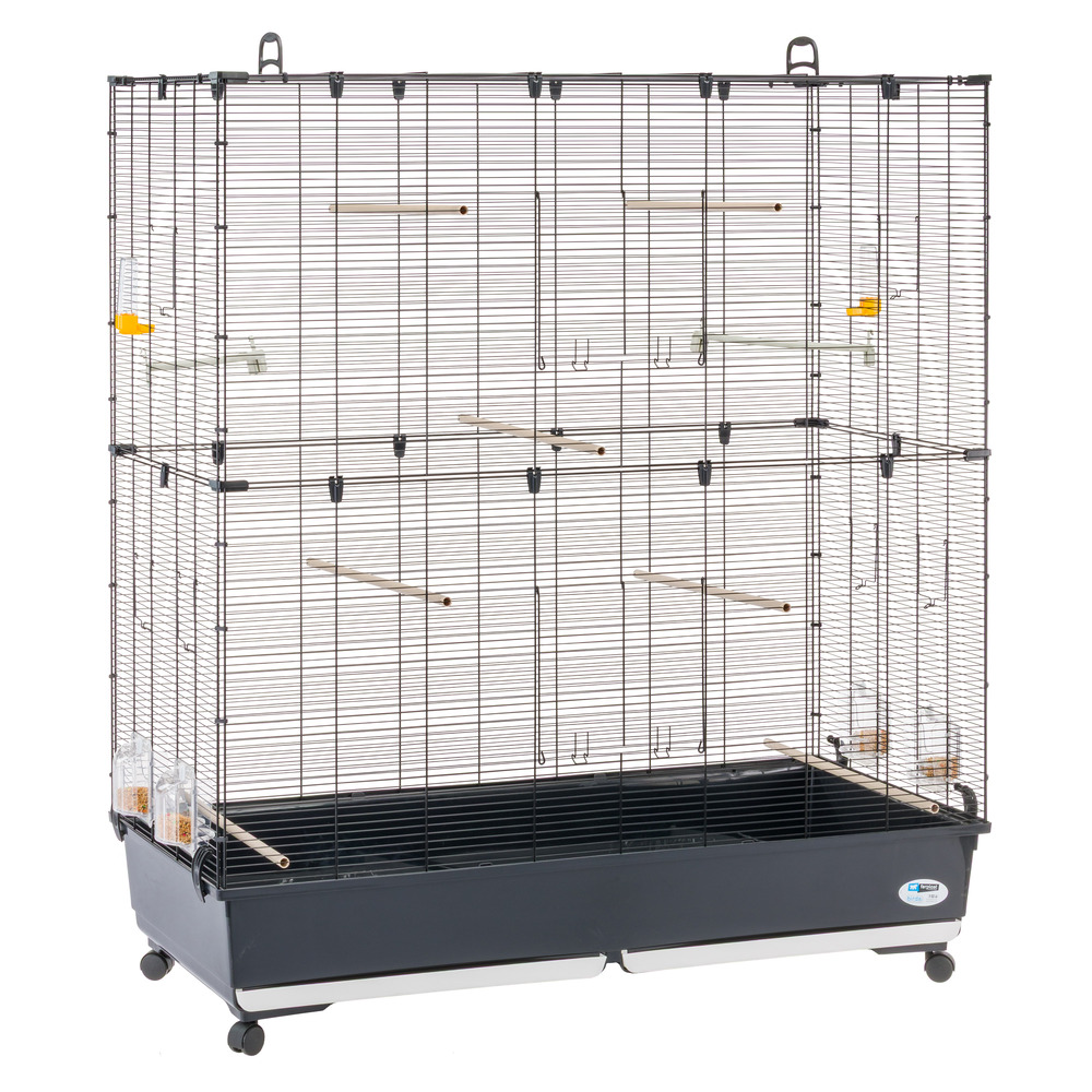 Ferplast volière cage à oiseaux planeta large grande cage pour canaris, pinsons, perruches ondulées, inséparables, métal,