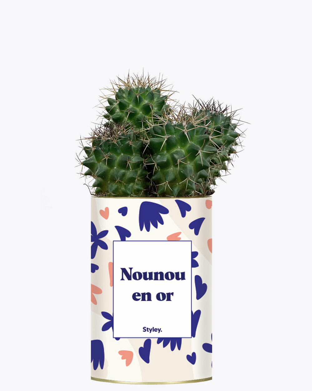Idée cadeau - nounou en or - cactus