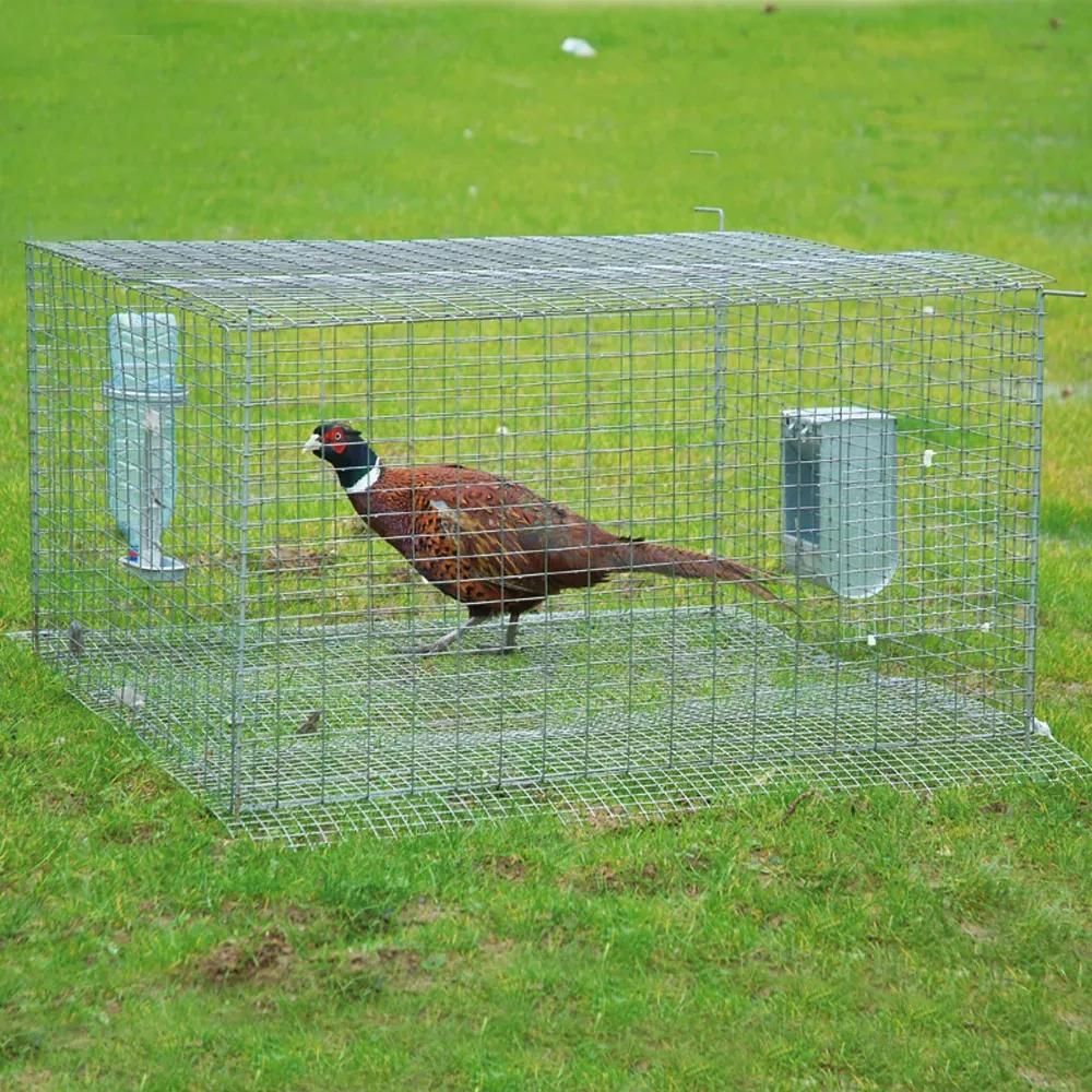 Cage de pré-lâcher galvanisée thermolaquée vert
