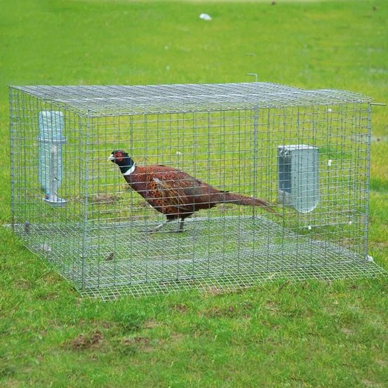 Cage de pré-lâcher galvanisée thermolaquée vert