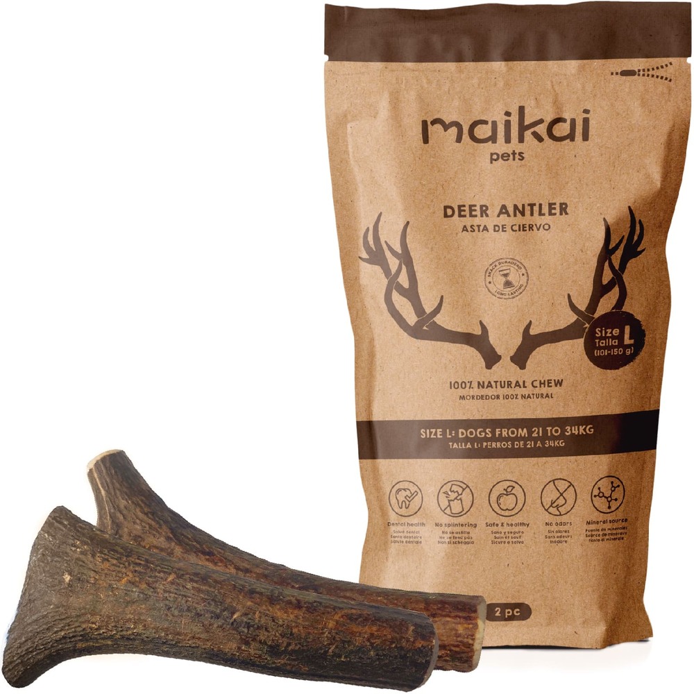 Bois de cerf pour chien (taille l x 2 pcs) – os à mâcher 100% naturel et jouet résistant