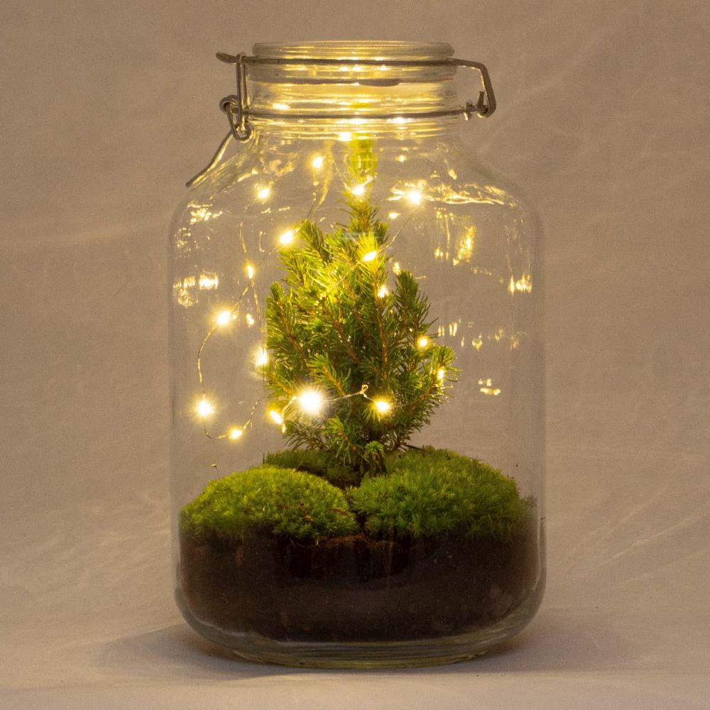 Diy terrarium - jar christmas - h28 cm