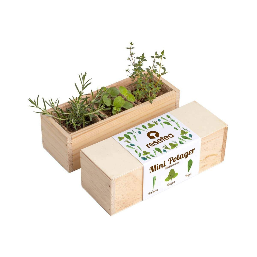 Mini potager d'herbes aromatiques méditérannée