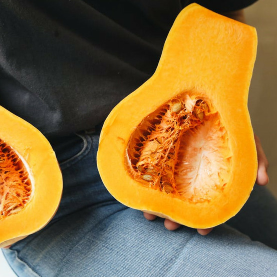 Graines de courge musquée sucrine du berry - vilmorin sachet