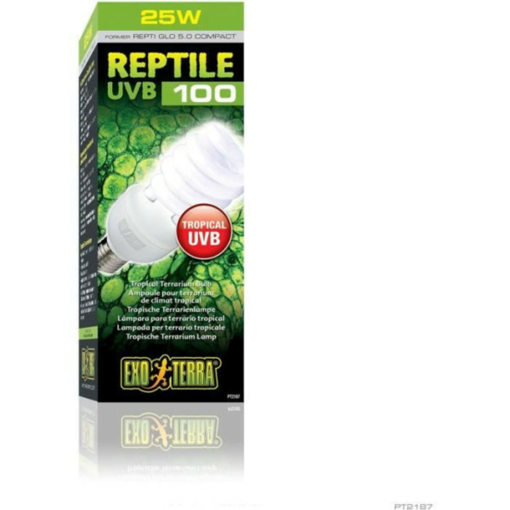 Ampoule fluocompacte uvb pour terrarium - - reptile uvb 100 - climat tropical et subtropical 26w