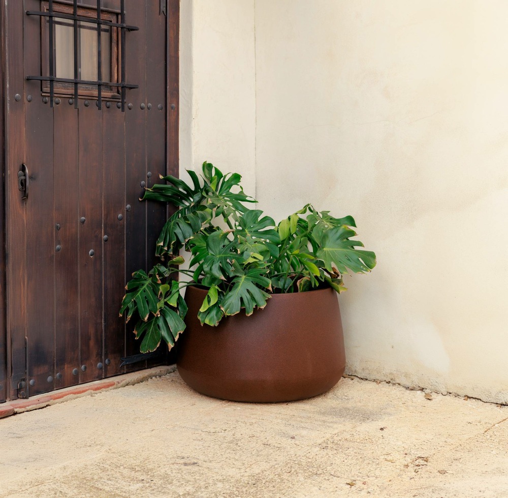 Pot Camelia 80 Bronze