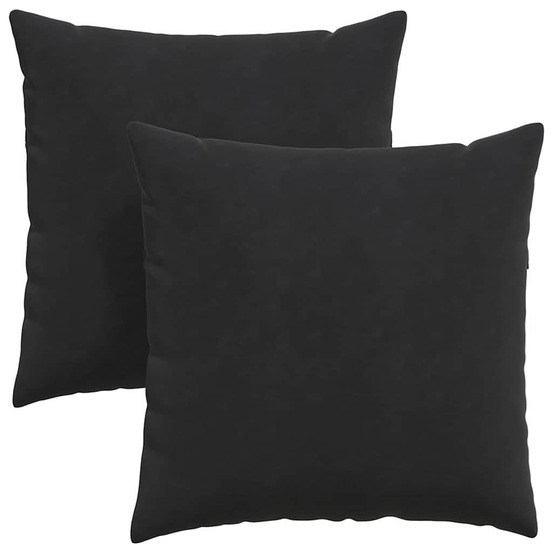 Coussins de canapé 2 pcs noir 80 x 80 cm