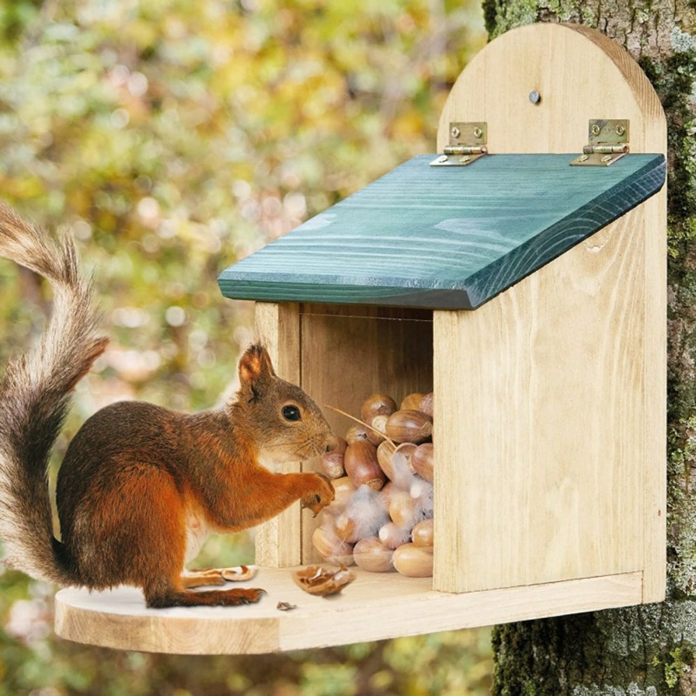 Mangeoire écureuil distributeur de nourriture éxtérieur robuste en bois  massif et vitre plexiglas de haute qualité328 écu