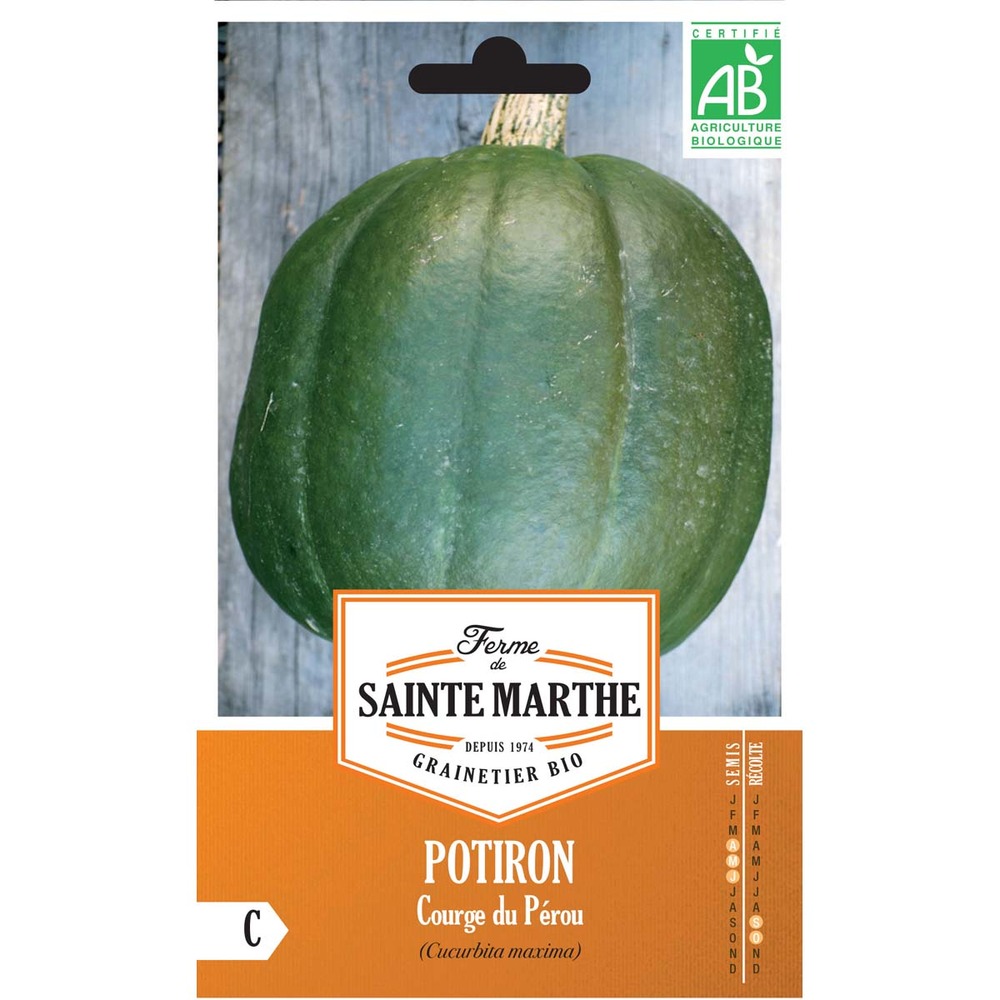 Potiron courge 'du pérou' le sachet de 10 graines environ (3g)