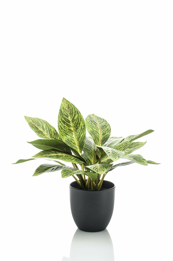 Croton codiaeum plante artificielle - h38cm, ø15cm