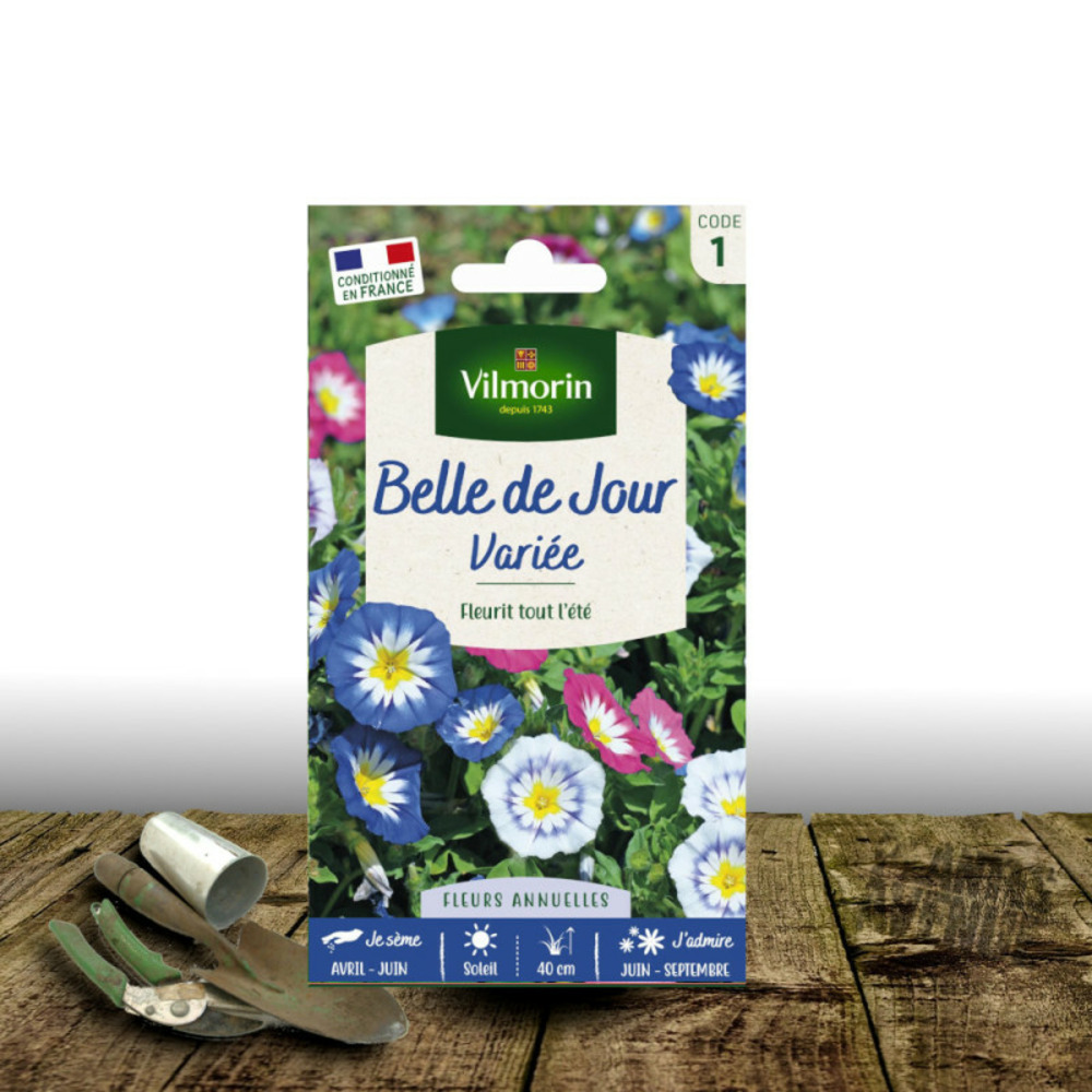 Graines de belle de jour - vilmorin sachet