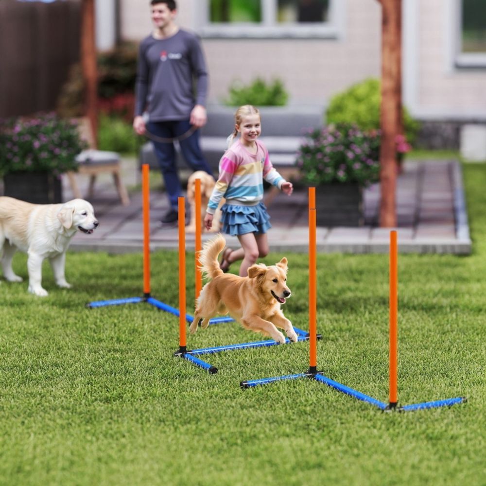 Kit agility chien tubes pe entraînement parcours slalom 65x64x69cm orange - comfortxl outdoor living