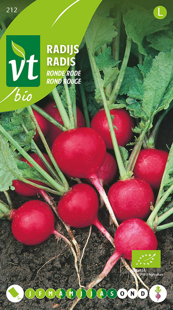 Bio radis rond rouge - ca. 6 gr (livraison gratuite)