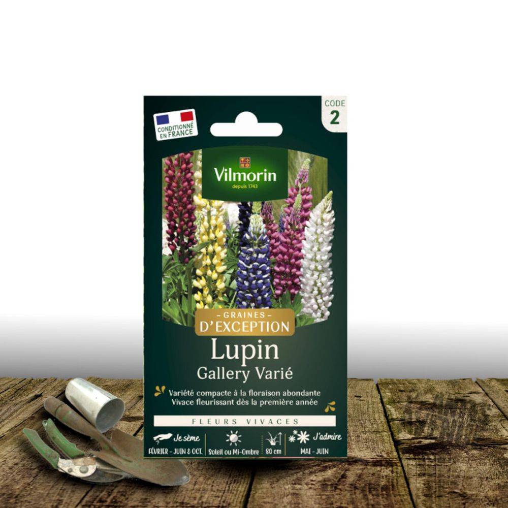 Graines de lupin gallery varié - vilmorin sachet