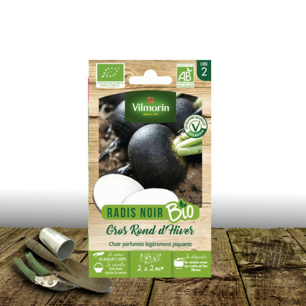 Graines de radis noir gros long d'hiver de paris - sans traitement - vilmorin sachet