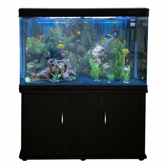 Aquarium à bords noir avec meuble noir et gravier bleu