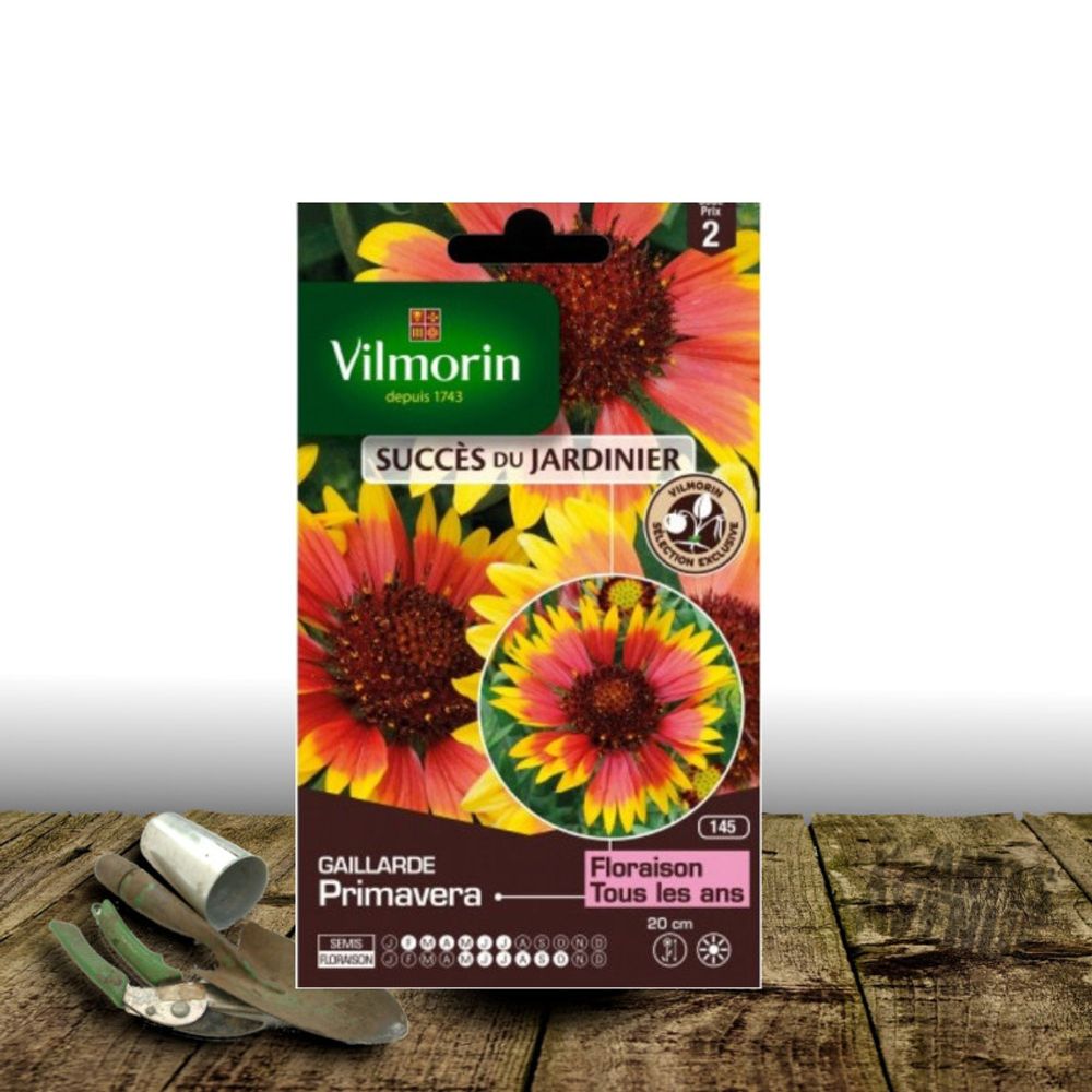 Graines de gaillarde primavera - vilmorin sachet