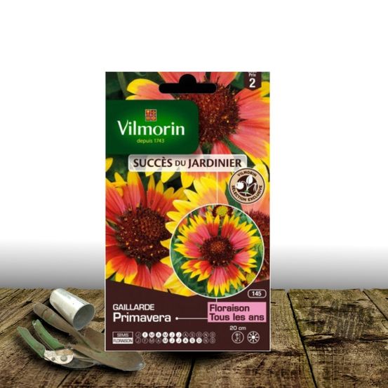 Graines de gaillarde primavera - vilmorin sachet