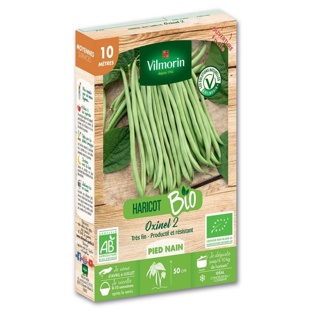 Graines de haricot nain vert oxinel 2 bio - 10 metres