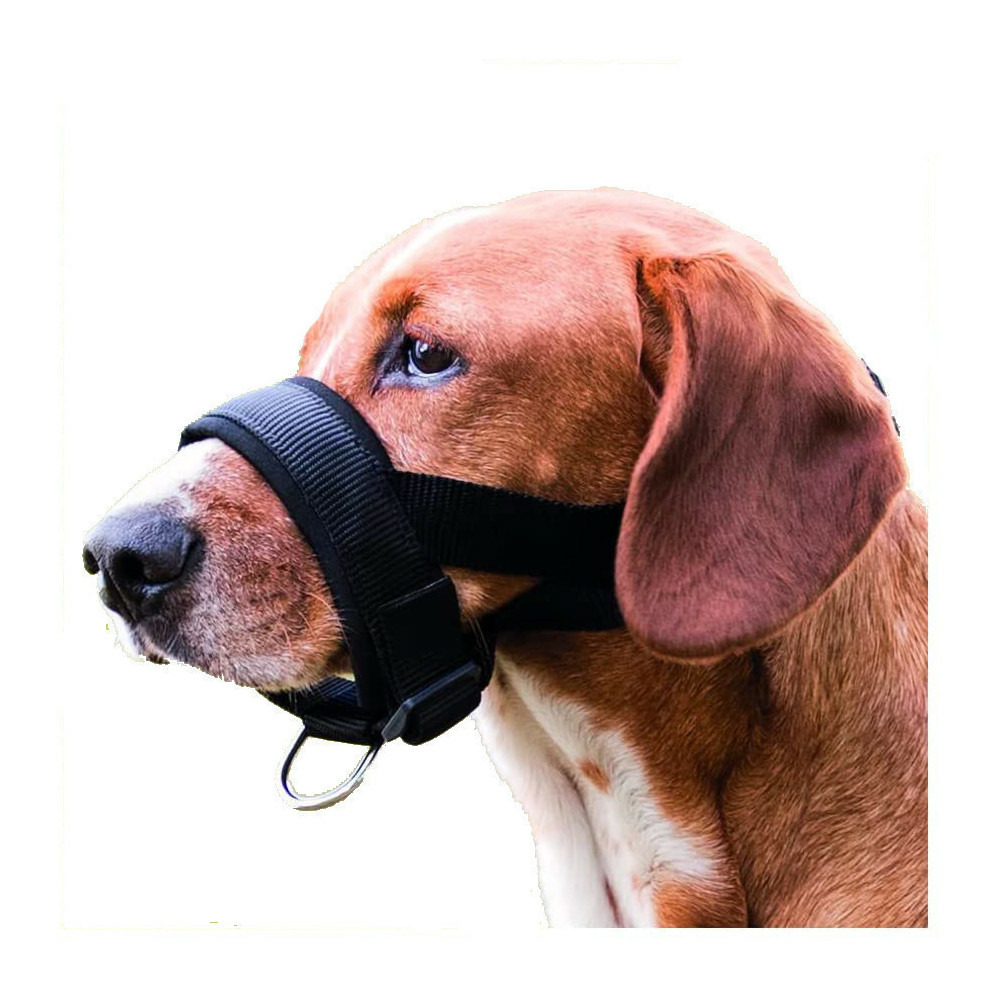 Muselière sangle taille l-xl pour chien bouvier bernois, golden retriever.