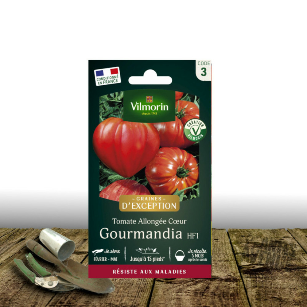 Graines de tomate gourmandia hf1 - vilmorin sachet