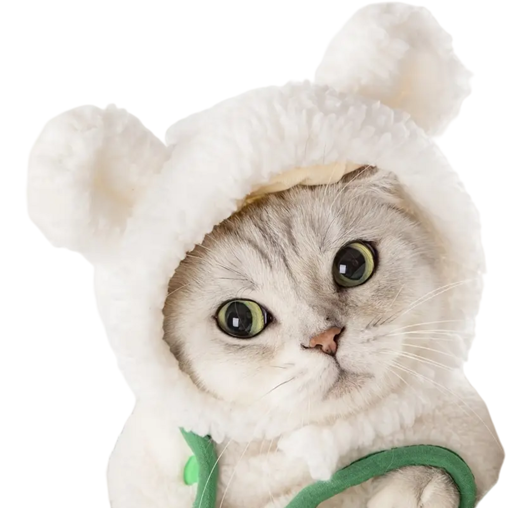 Chapeau ours pour animaux de compagnie, col règlable